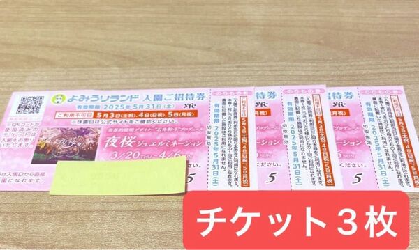 よみうりランド 入園ご招待券とのりもの券×3枚セット