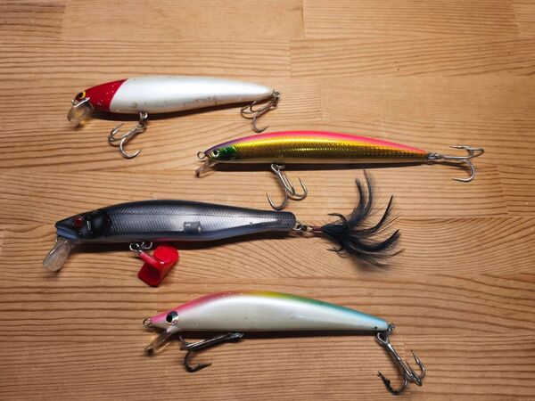 シーバス ルアー 4個 Daiwa GANCRAFT
