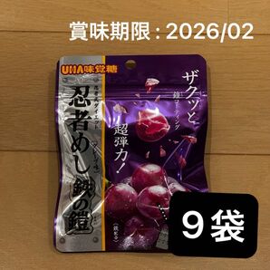 忍者めし 鉄の鎧 グレープ味