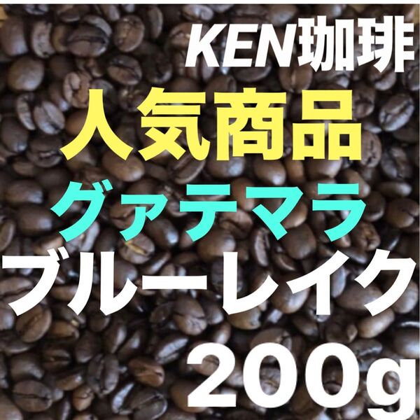 自家焙煎コーヒー豆 人気商品 ブルーレイク グァテマラ産 200g 注文後焙煎 KEN珈琲