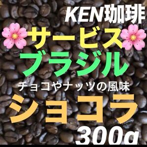 5月限定 ショコラ(チョコやナッツの風味)ブラジル産300g100円引き 自家焙煎珈琲 KEN珈琲