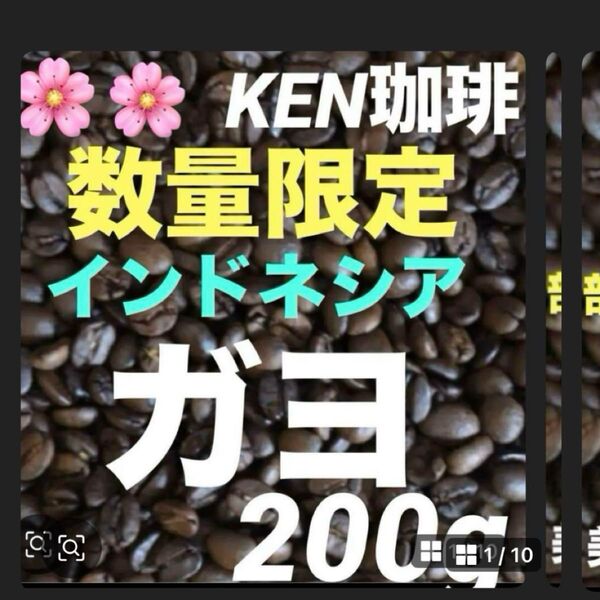 新発売 マレーシア直輸入 ガヨ(ウォシュド) インドネシア産 200g 注文後焙煎 数量限定