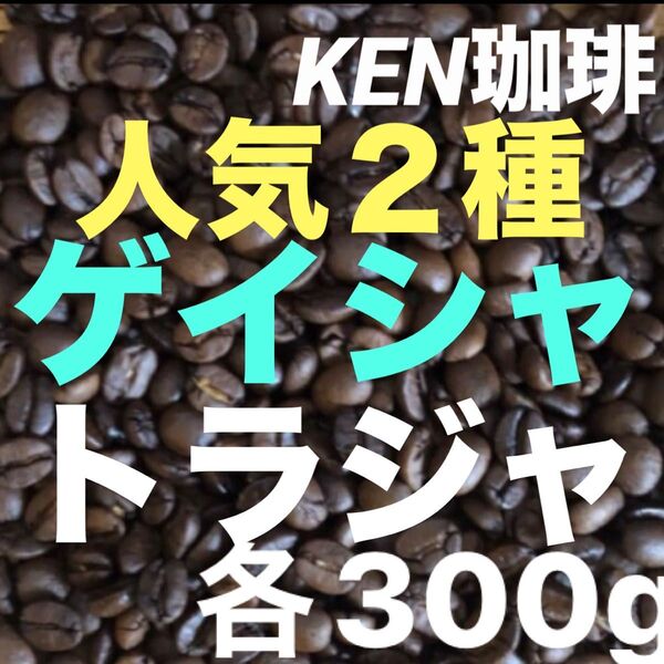自家焙煎コーヒー豆 人気2種 ゲイシャ300gトラジャ300g合計600g200円引き 注文後焙煎 KEN珈琲