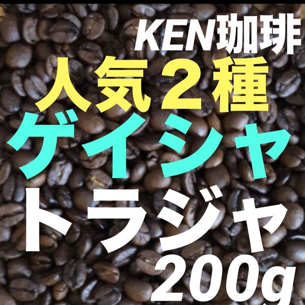 自家焙煎コーヒー豆 人気2種 ゲイシャ200gトラジャ200g合計400g100円引き 注文後焙煎 約40杯分1杯80円