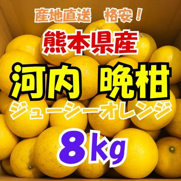 熊本県産 河内晩柑(ジューシーオレンジ)8kg 家庭用