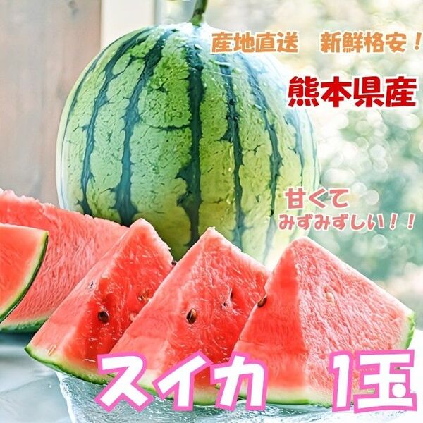 【熊本県産 植木スイカ Lサイズ相当 1玉 送料無料】