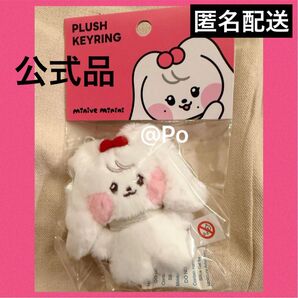 IVE minini minive ぬいぐるみキーリング ウォニョン cherini