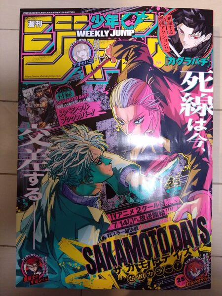 週刊少年ジャンプ 2025年 No.25 最新号 ブックカバー付録なし