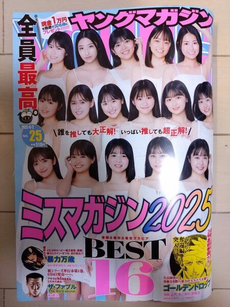 週刊ヤングマガジン 2025年 No.25 最新号 切り取りなし