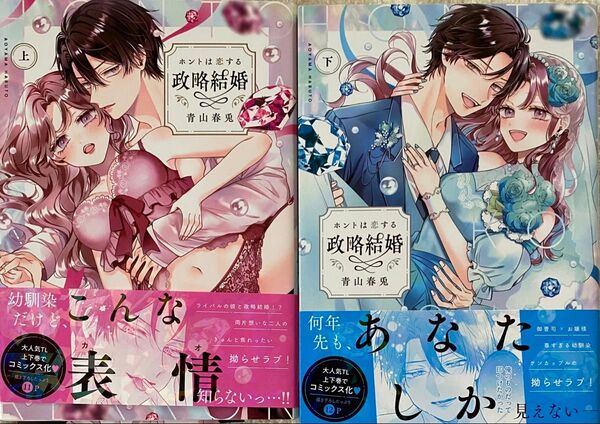 ホントは恋する政略結婚 上下巻 /青山春兎