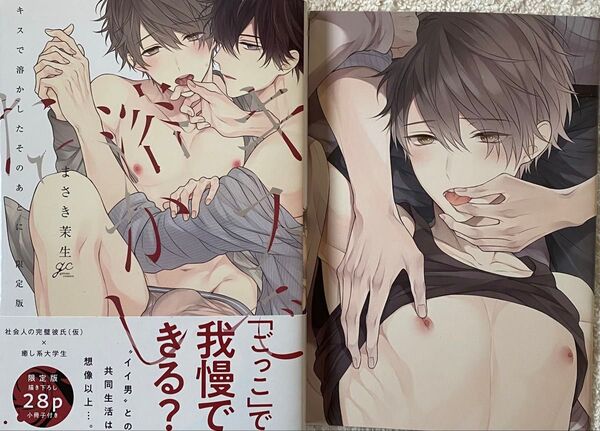 キスで溶かしたそのあとに/まさき茉生(限定版小冊子付)