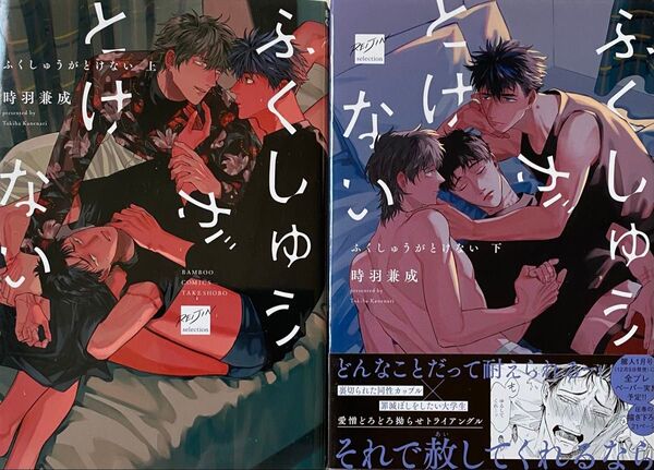 ふくしゅうがとけない 上下巻/時羽兼成