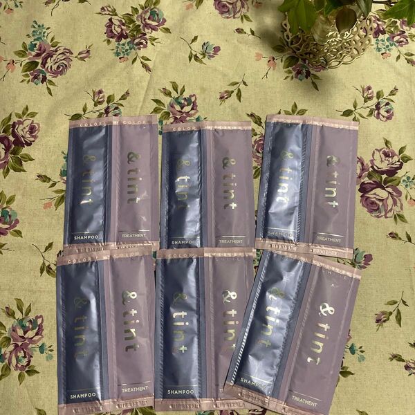 &tint カラーシャイン 2連お試し (フルーティグレープ) 10mL+10g 6セットおまとめ