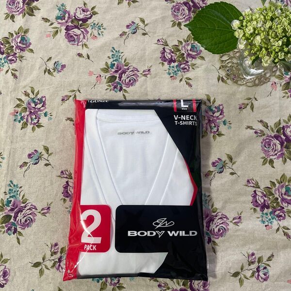 グンゼ BODY WILD Vネック半袖Tシャツ Lサイズ 2枚組 白 綿100% 抗菌防臭加工 GUNZE
