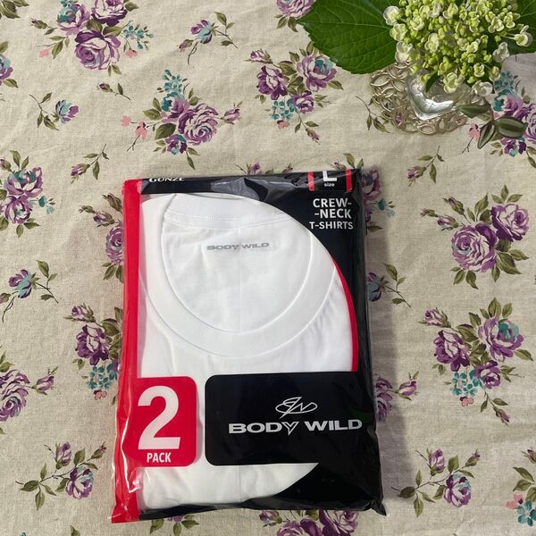 グンゼ BODY WILD クルーネック半袖Tシャツ Lサイズ 2枚組 白 綿100% 抗菌防臭加工 GUNZE