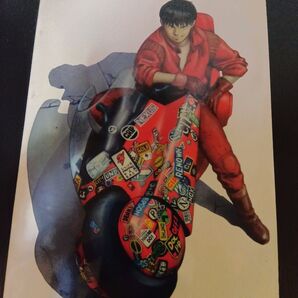 AKIRA DVD パイオニアLDC株式会社 Pioneer