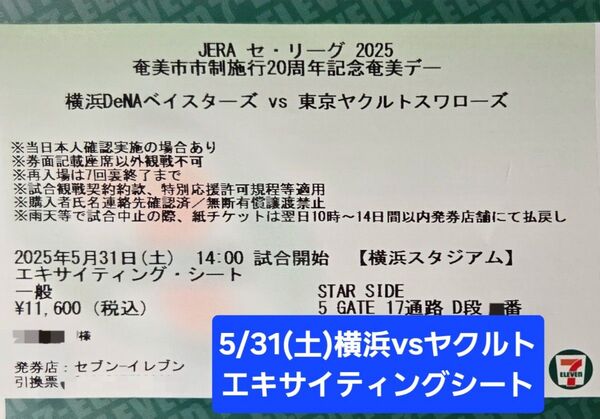 【定価以下】エキサイティングシート 最内(ホームベース寄り)ブロック 横浜ベイスターズvs東京ヤクルトスワローズ観戦チケット