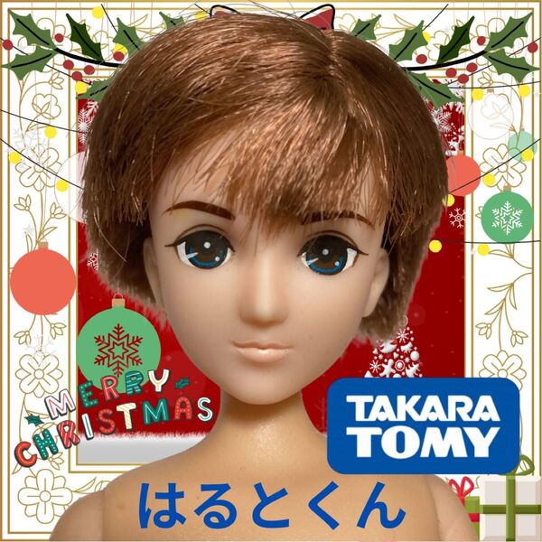 向かいの家のお兄さんはるとくん茶髪①タカラトミー リカちゃん人形 ボーイフレンド 着せ替え カスタム用 男子 ドール本体 フレンド