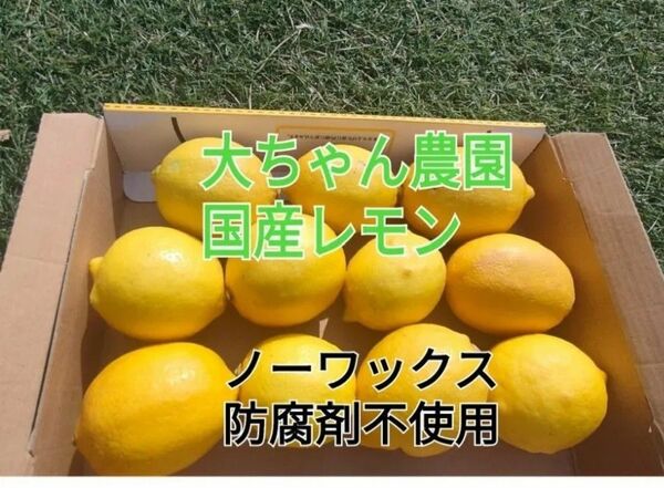 和歌山県産)レモン減農薬【春収穫】皮ごと使える安心レモン 農家直送