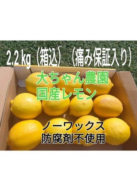 国産レモン春収穫【Aクラス訳あり (痛み保証付)ノーワックス 丸ごと使えて安心2.2kg(箱込み)