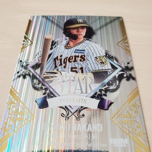 BBM 2024 阪神タイガース STAR PORTRAITS 中野拓夢