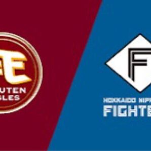 5月23日 楽天 VS 日本ハム チケット2枚 スマイルグリコパーク