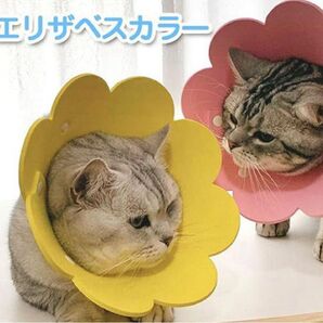 エリザベスカラー S ピンク
