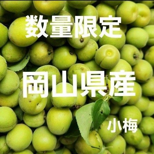 数量限定 岡山県産 農薬不使用 自家栽培1kg 小梅 梅干し 青梅 生梅 カリカリ梅