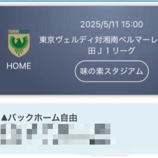 東京ヴェルディ 対 湘南ベルマーレ5/11(土) J1リーグ チケット2枚