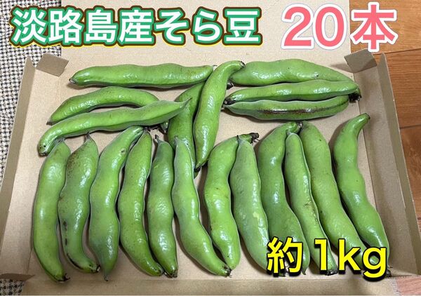 そら豆20本(約1kg) 淡路島産 【検索用】実えんどう スナップえんどう 大豆 あずき