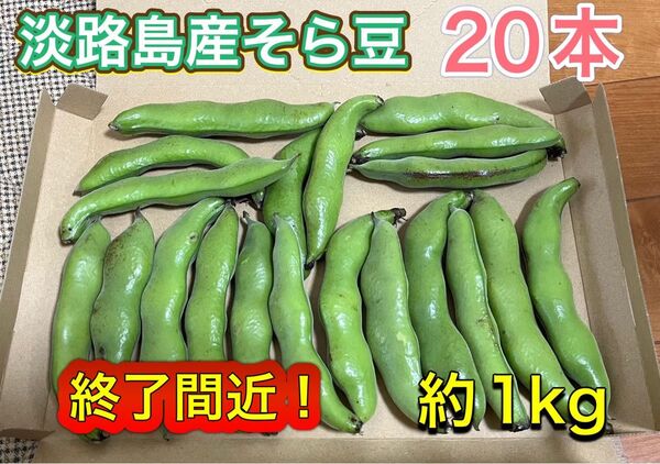 そら豆20本(約1kg) 淡路島産 終了間近!【検索用】実えんどう スナップえんどう 大豆 あずき