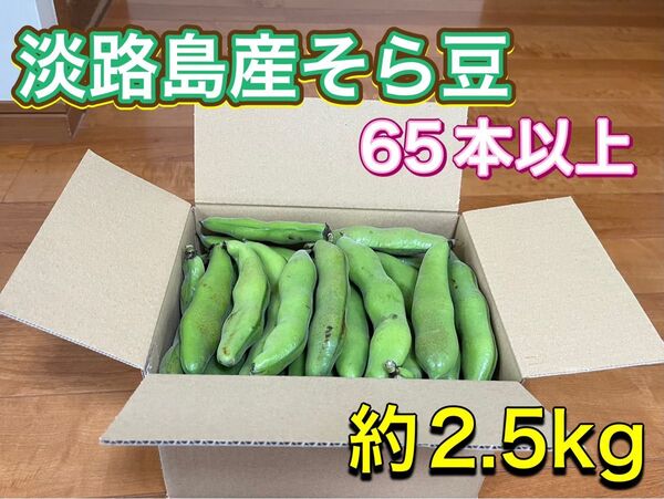 淡路島産そら豆 65本以上(約2.5kg)