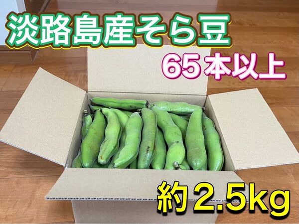 淡路島産そら豆 65本以上(約2.5kg)