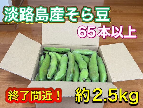 淡路島産そら豆 65本以上(約2.5kg) 終了間近!