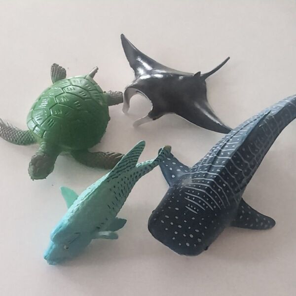 海の生き物 フィギュア