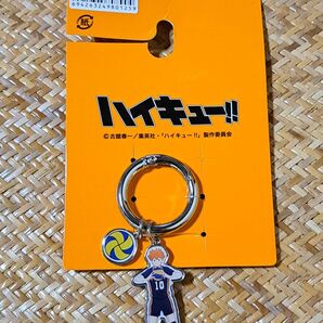 ハイキュー!! 日向翔陽 キーホルダー カラビナ チャーム バレーボール キーリング 金属