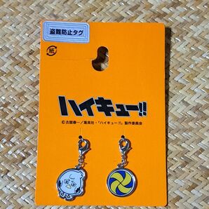 ハイキュー!! 星海光来 キーホルダー チャーム ホシウミカモメ