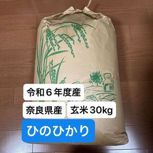 お米 30kg 玄米 ひのひかり
