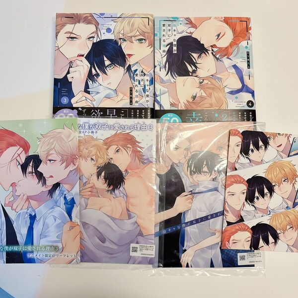 陰キャな僕が双子に愛される理由 三ツ矢凡人 3巻4巻 アニメイトセット小冊子 リーフレット イラストカード BLコミック BL新刊