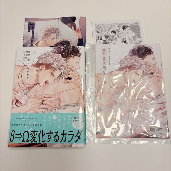 愛だ、恋だの処方箋 秋久テオ 特装版小冊子付き アニメイトセット限定特典小冊子付き ペーパー BLコミック BL新刊 初版