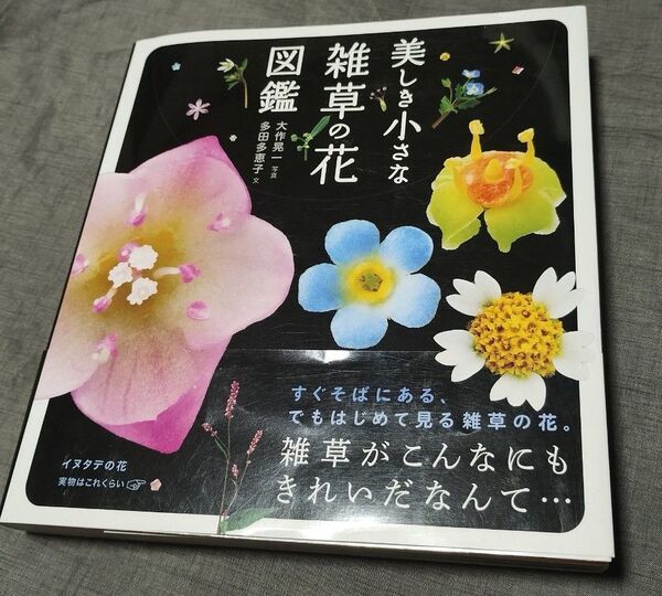 美しき小さな雑草の花図鑑 多田多恵子/文 大作晃一/写真