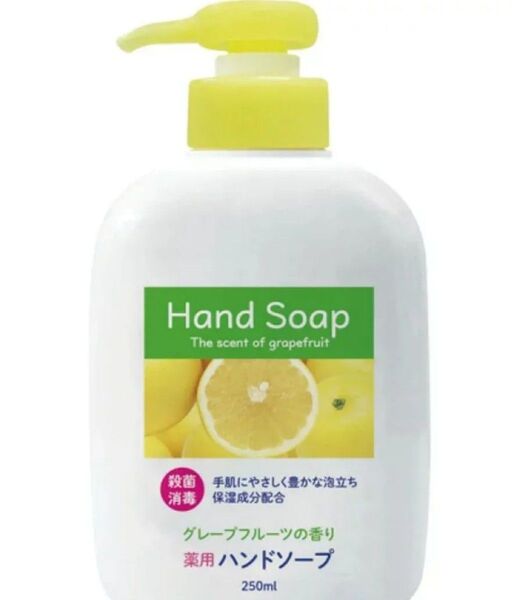 新品未開封 第一石鹸 薬用ハンドソープ 本体 250ml グレープフルーツの香り 保湿成分配合 殺菌