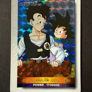 ドラゴンボール カードダス 981 孫悟飯 孫悟天 PP CARD