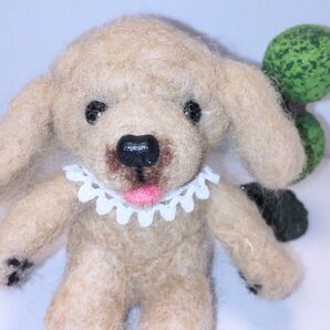 羊毛フェルト ちょこんとお座り トイプードル (アプリコット) ハンドメイド 置き物 飾り物 ぬいぐるみ