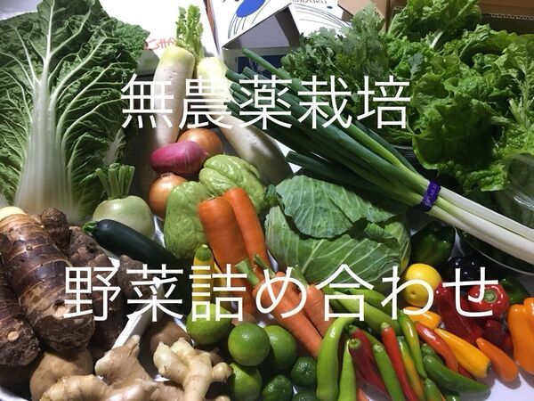 ◎無農薬栽培◎お野菜と果物詰め合わせ◎キャベツ◎生ニンニク◎カラフル人参◎新玉ねぎ◎ブロッコリー◎パッションフルーツ◎即発送
