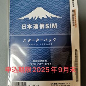日本通信sim スターターパック nt-st2-p