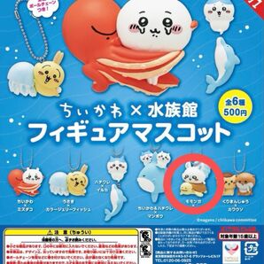 ちいかわ水族館 モモンガ×ウミガメ