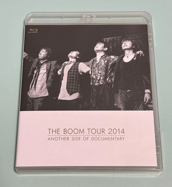 Blu-ray THE BOOM TOUR 2014 ANOTHER SIDE OF DOCUMENTARY 宮沢和史