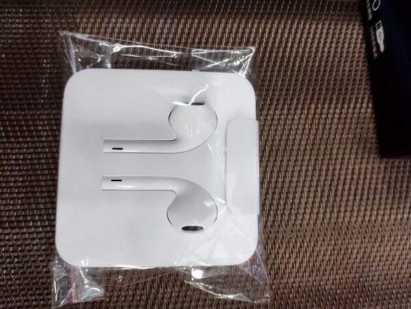 Apple Lightningイヤホン 純正品 動作品 型紙なし発送