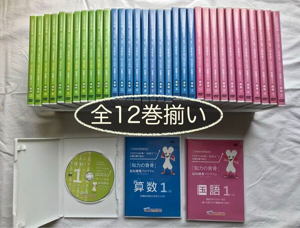 【定価約16万】知力の背骨 最短構築プログラム 全巻 西村則康